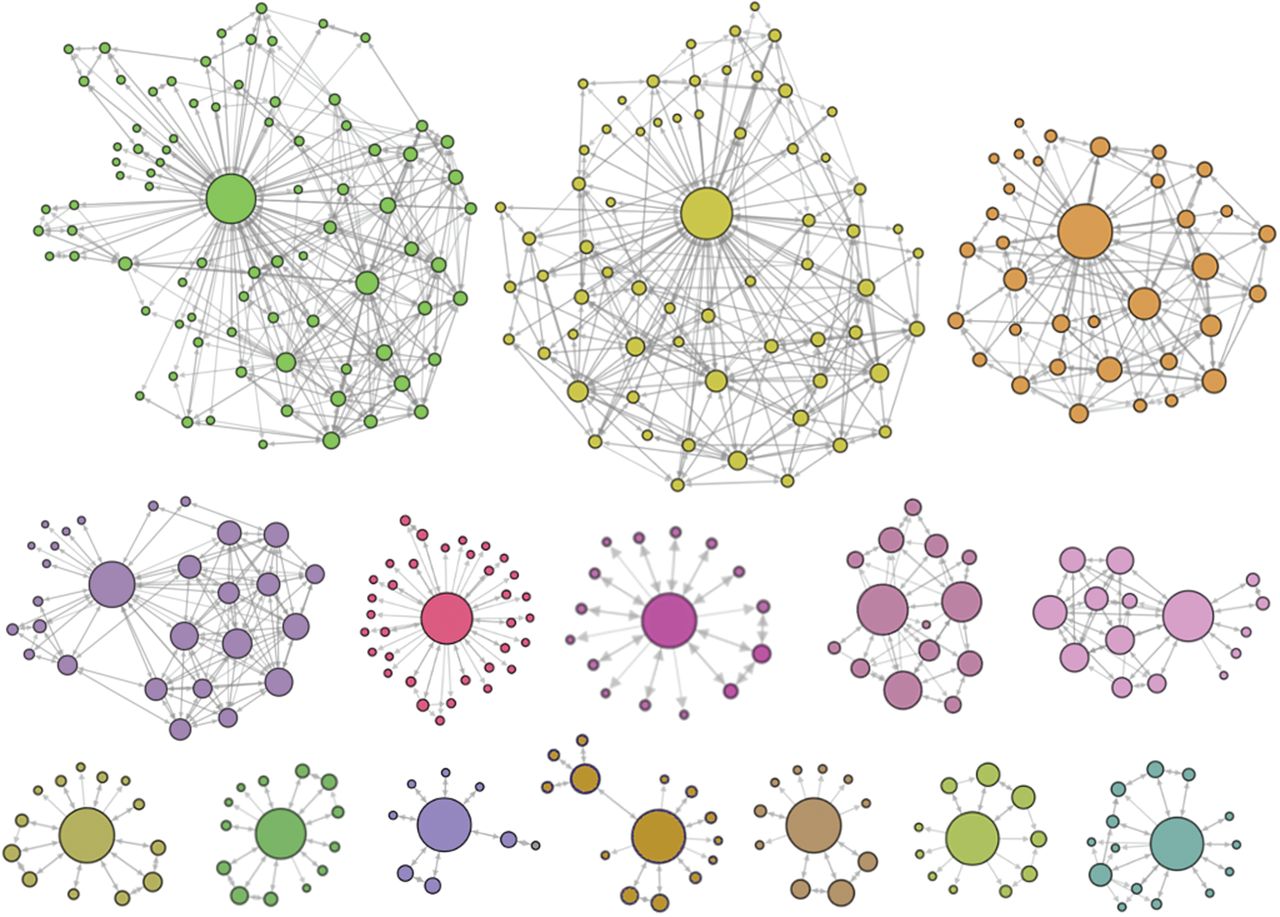 Different structures of real cascades occurred on Twitter. Node sizes are proportional to the node degree and links represent the follower relationship between users.