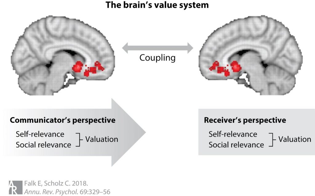 The brain's value system- Emily Falk